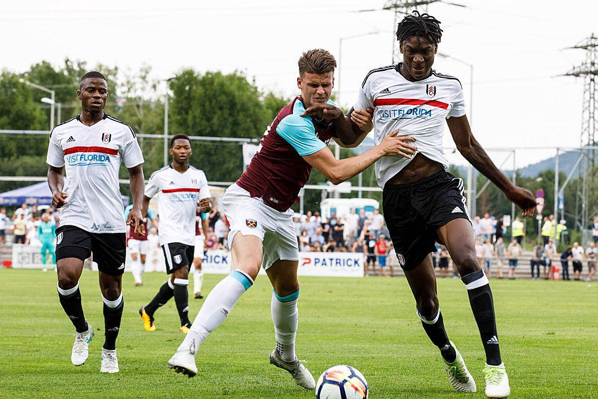 九游教练-佛罗伦萨新援表现抢眼，助球队胜利的简单介绍