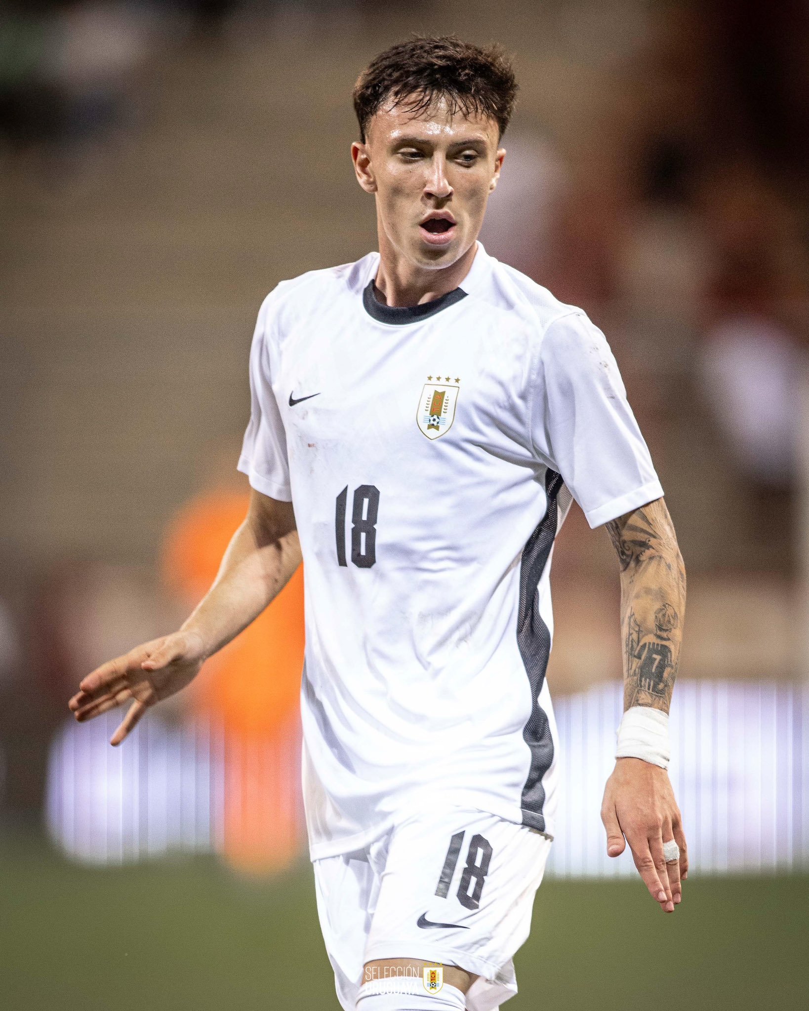 乌拉圭队击败委内瑞拉队，晋级欧洲杯四强